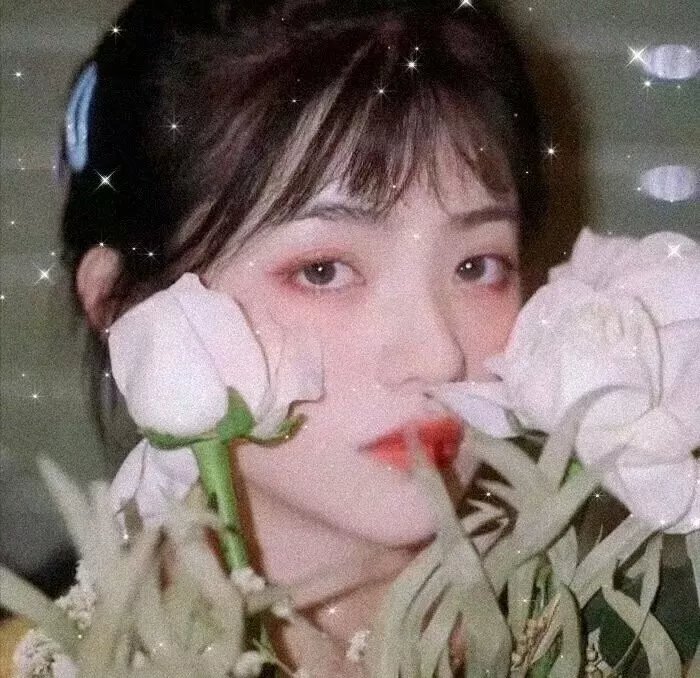 马戏女郎